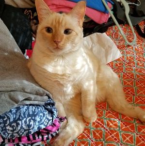 Meet your Posher, Fern